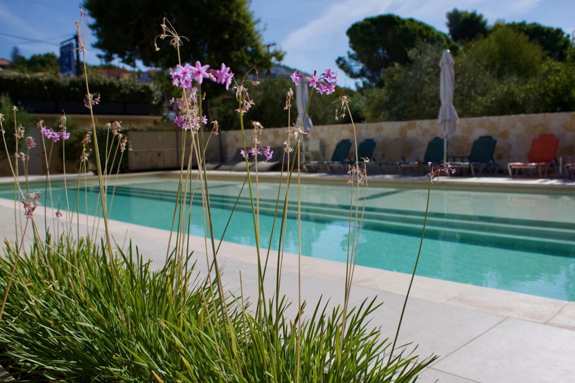 Makris Yialos Apartments Lassi (Kefalonia) Exterior foto